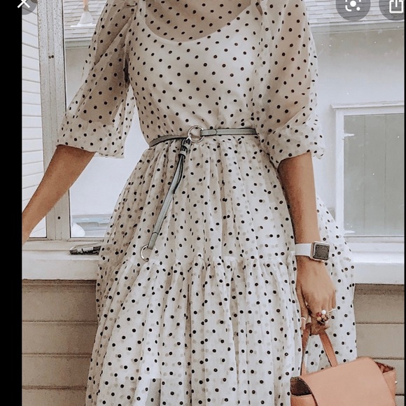 H&M Dresses & Skirts - H&M Polka Dot Flock print Mesh Dress